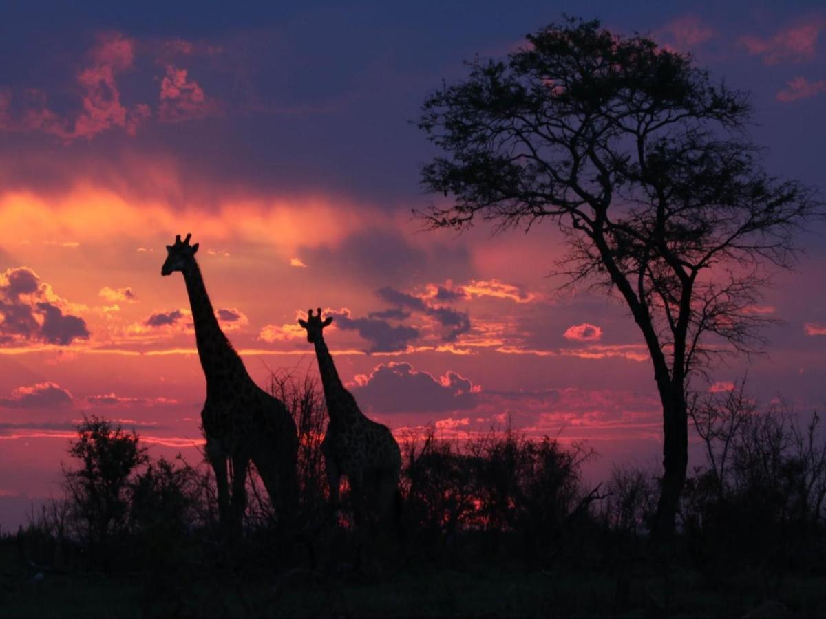 Paradise River Lodge Hoedspruit Kültér fotó