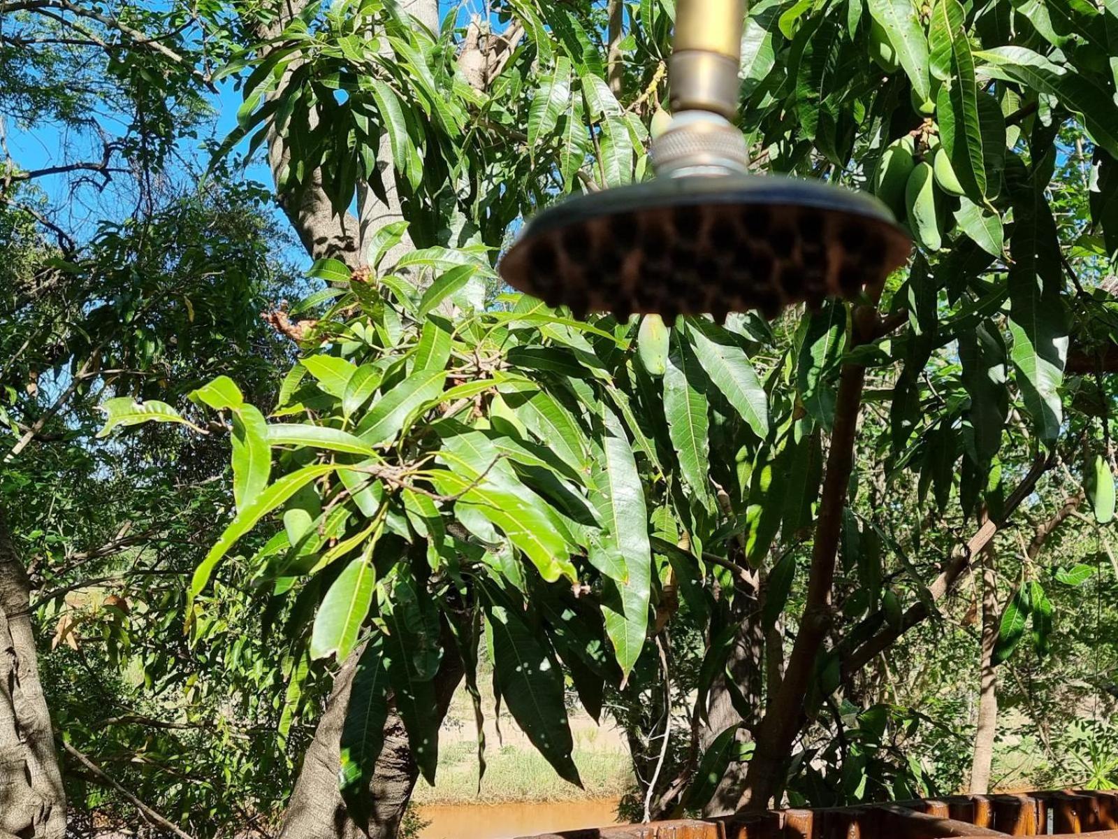 Paradise River Lodge Hoedspruit Kültér fotó