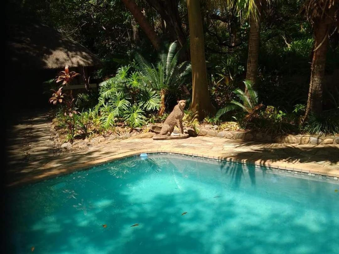 Paradise River Lodge Hoedspruit Kültér fotó